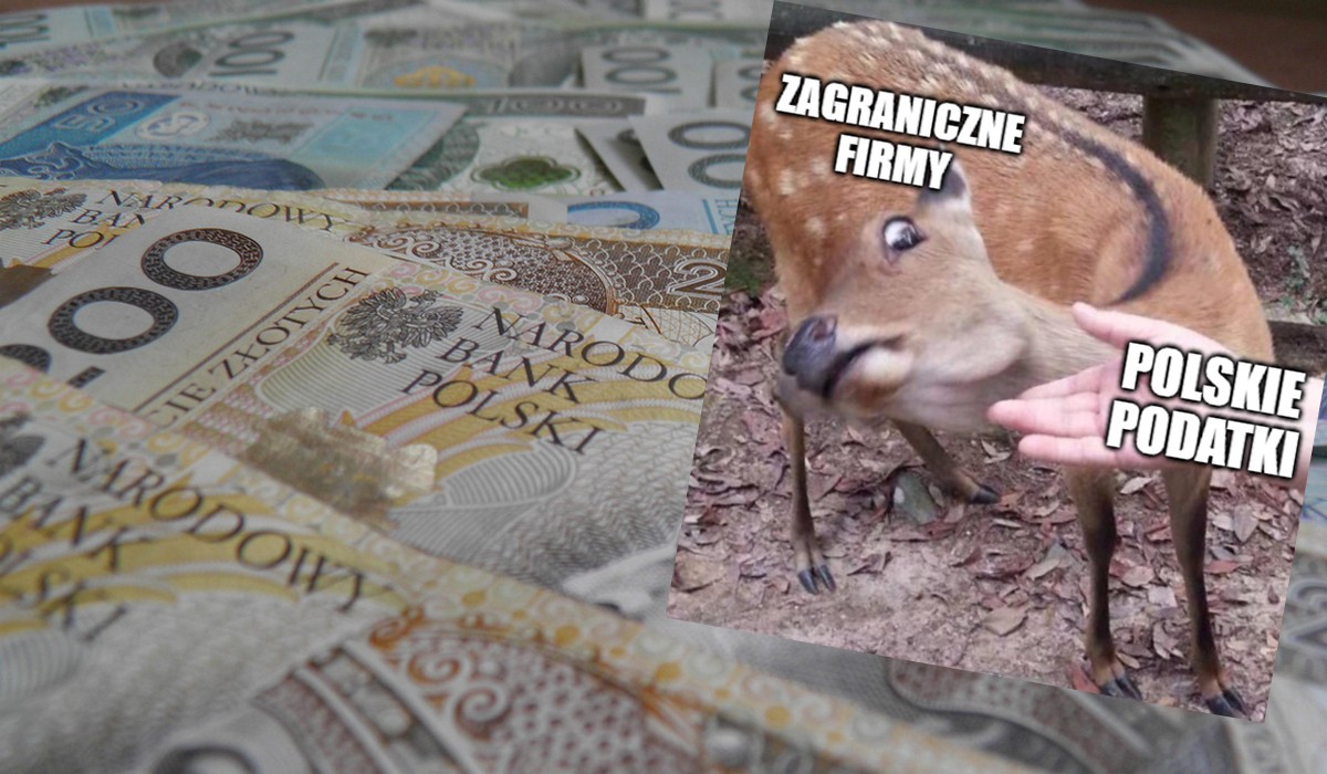 Badanie: prawie połowa Polaków chce wyższych podatków dla zagranicznych firm zarabiających w Polsce