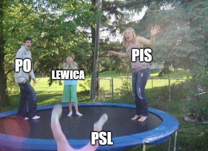 Sondaż IBRIS: PSL pod progiem, Kukiz wciąż w Sejmie, aż 17% badanych "raczej zagłosuje"