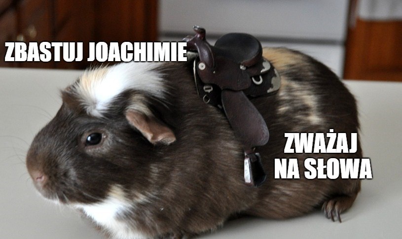 Brudziński o zarobkach w NBP: "Potrzebny był nam ten problem jak świni siodło"