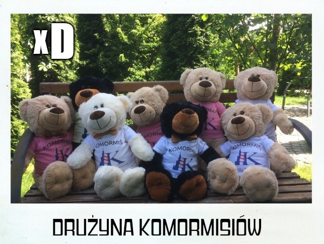 Izba Komornicza chce ocieplić wizerunek, wprowadziła maskotki - KOMORmisie