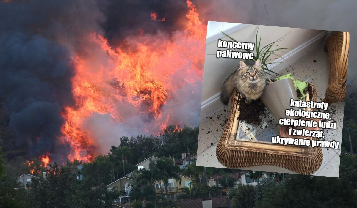 Kalifornia pozywa koncerny paliwowe, chce odpowiedzialności za zmiany klimatyczne i specjalny fundusz ratunkowy