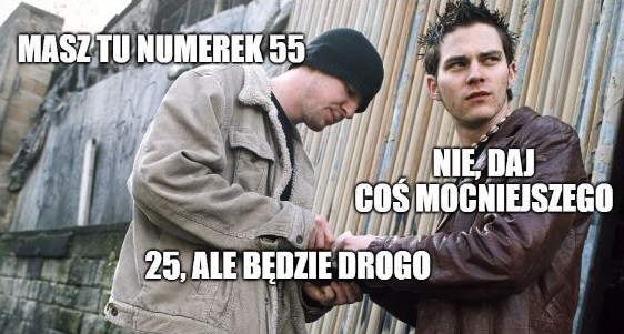 Zielona Góra: numerki do urzędników kupuje się u konika albo bardzo długo czeka