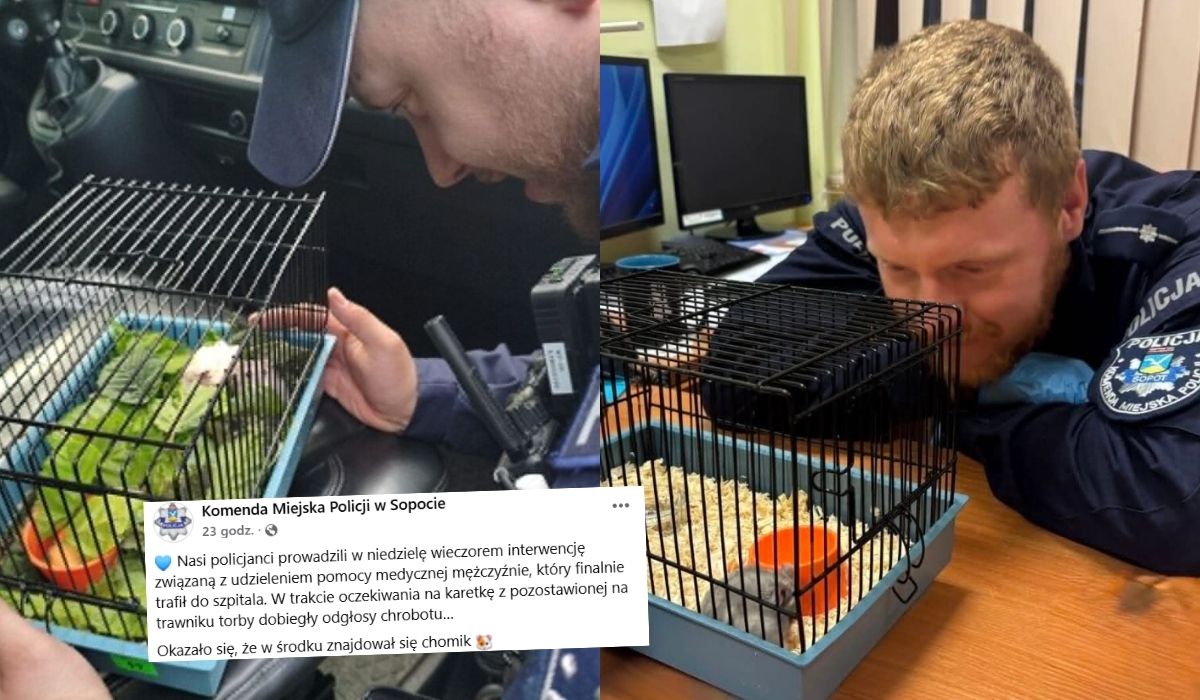 Sopot: policjanci po udzieleniu pomocy mężczyźnie zauważyli chomika, którym zaopiekowali się w trybie pilnym
