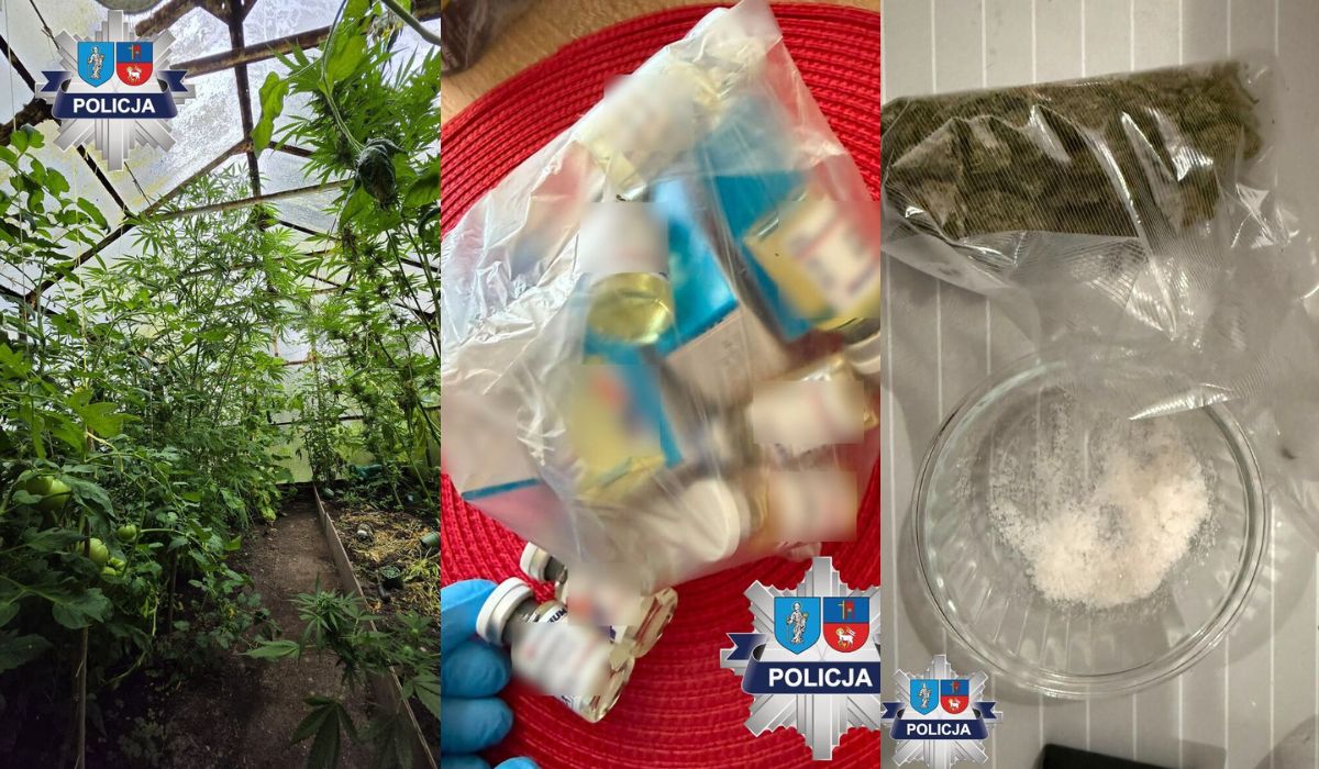 Olsztyn: policja zatrzymała osoby odpowiedzialne za hodowlę pomidorów, ogórków i marihuany