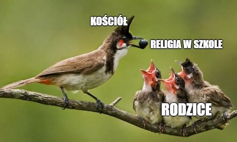 Rzecznik Episkopatu: miejsce religii jest w szkole. Wyrzucanie jej to wracanie do komunizmu