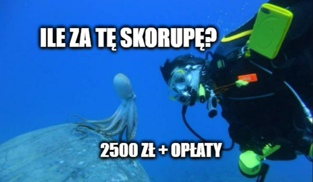 W 2021 roku cudzoziemcy nabyli w Polsce ponad 10 tysięcy mieszkań. Najwięcej obywatele Ukrainy
