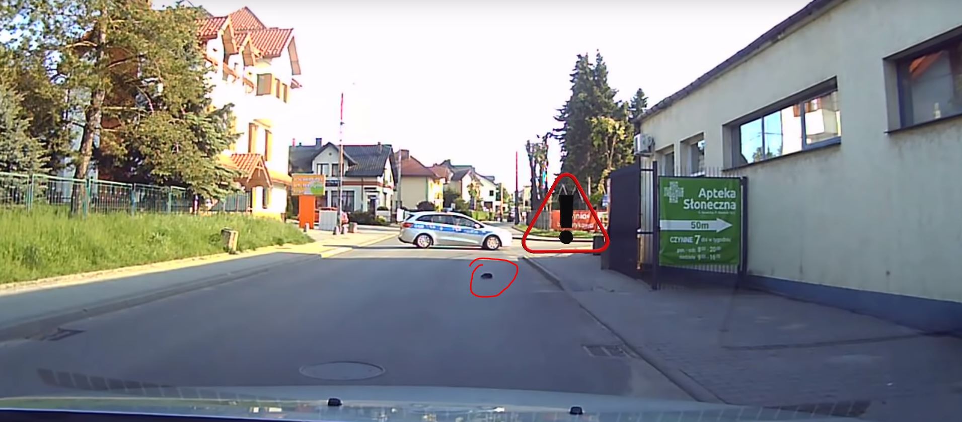 Policjanci zablokowali ulicę, żeby jeż mógł bezpiecznie przejść na drugą stronę