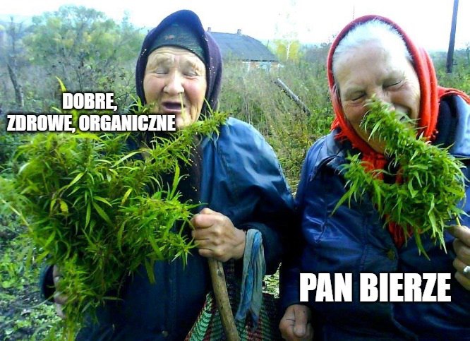 Irlandia: mężczyzna zaniósł marihuanę na policję, żeby zgłosić oszustwo, bo dostał słabą