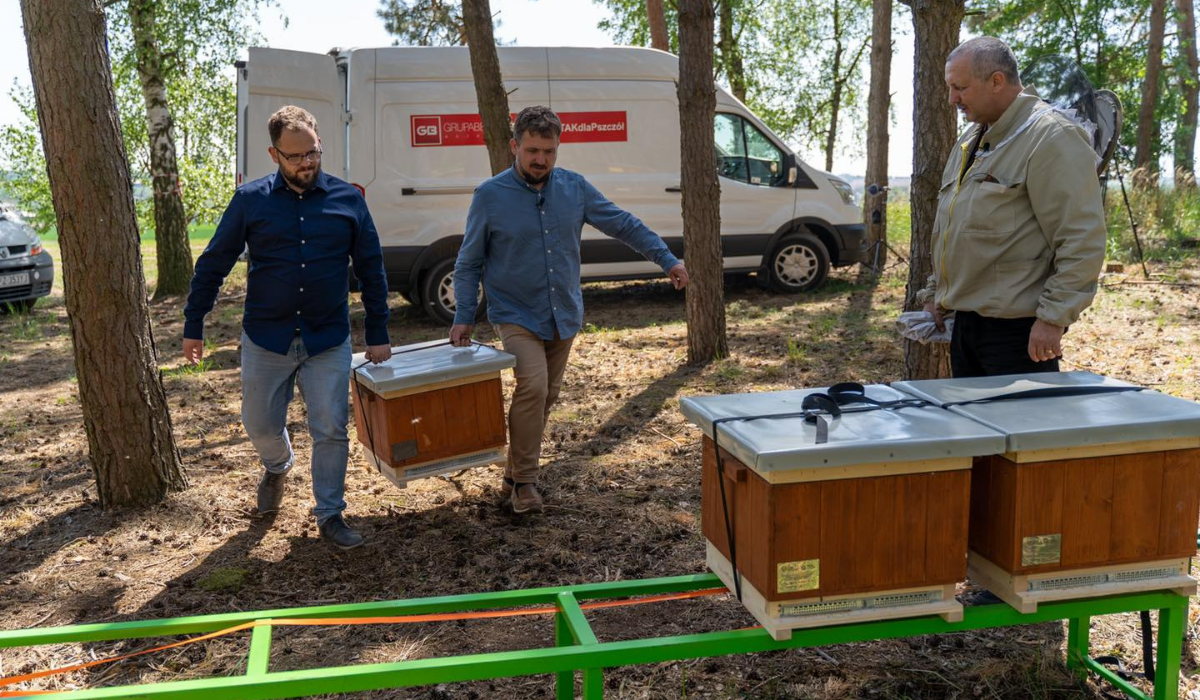 Tworzymirki: dzięki Bankowi Pszczół prawie udało się odbudować pasiekę zniszczoną przez nienawistnego pszczelarza