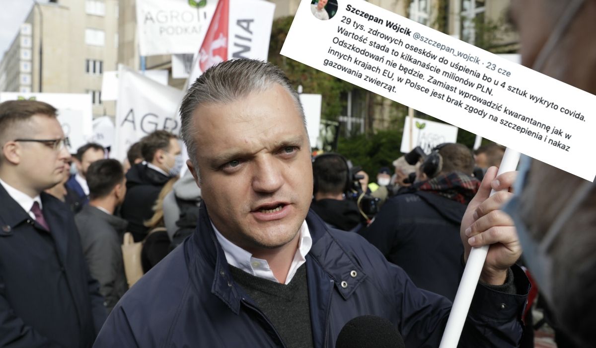 Hodowca norek ma zagazować 29 000 norek przez wirusa, "gdzie są obrońcy zwierząt?"