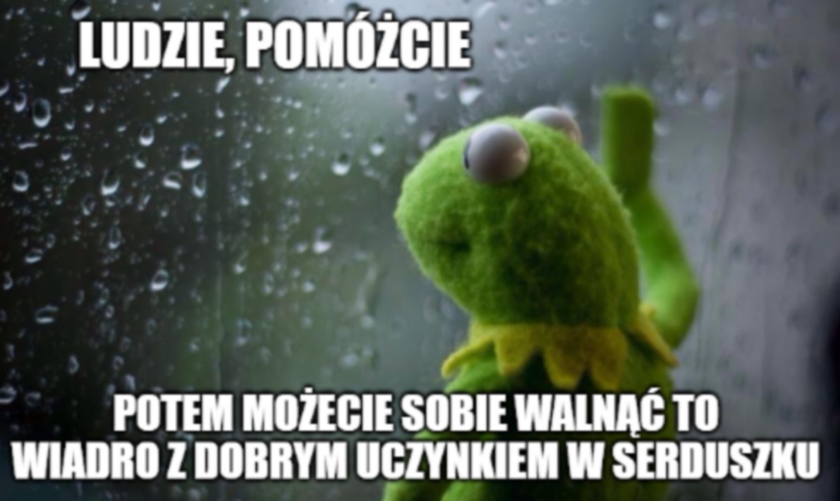 Lublin szuka żabich ratowników, potrzebne wiadro i dobre chęci, żeby nie ginęły pod kołami