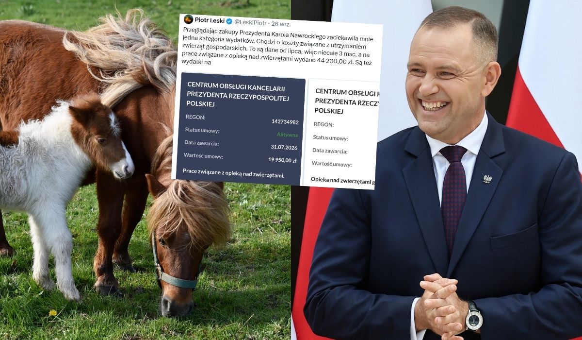 Kancelaria prezydenta potwierdza, że ma dwa konie dla prezydenta i żony, jeden dla ochroniarza i kuca