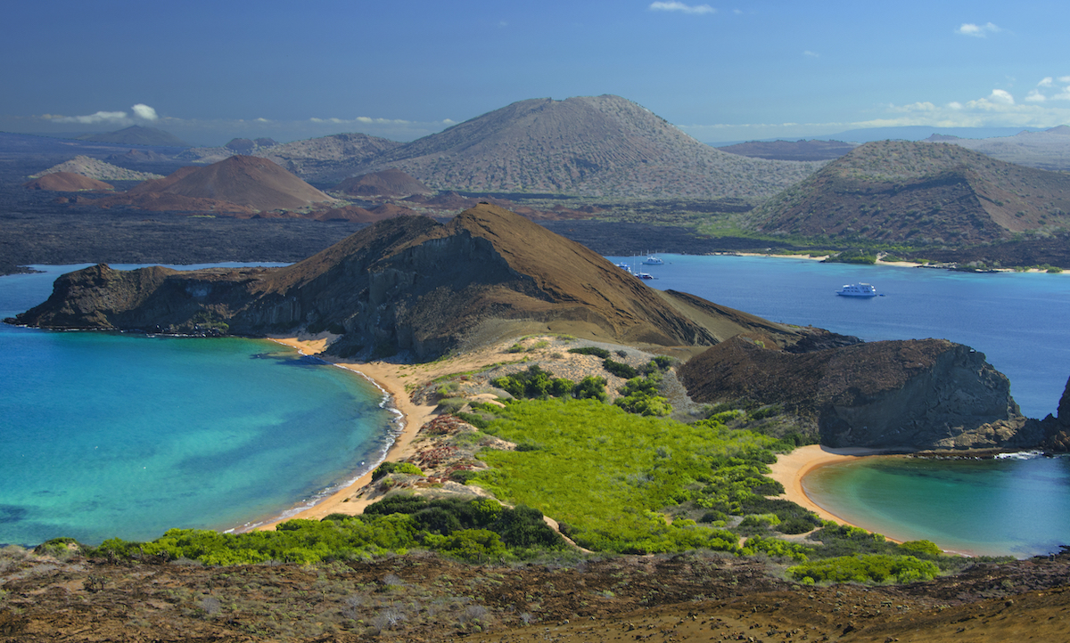 Stan planety na koniec 2021: 22 dobre wiadomości