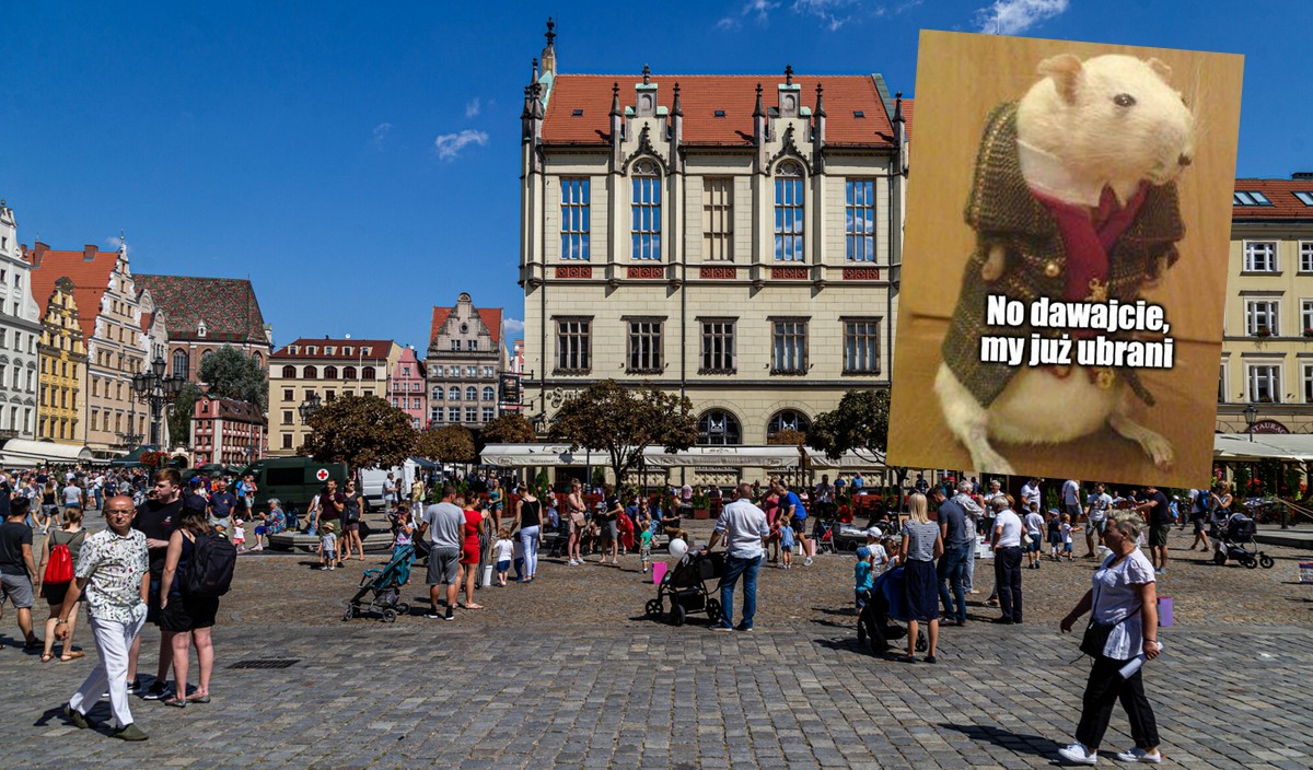 Radni Wrocławia idą na wojnę ze szczurami, bo mieszkańcy zaczęli je widywać nawet w toaletach