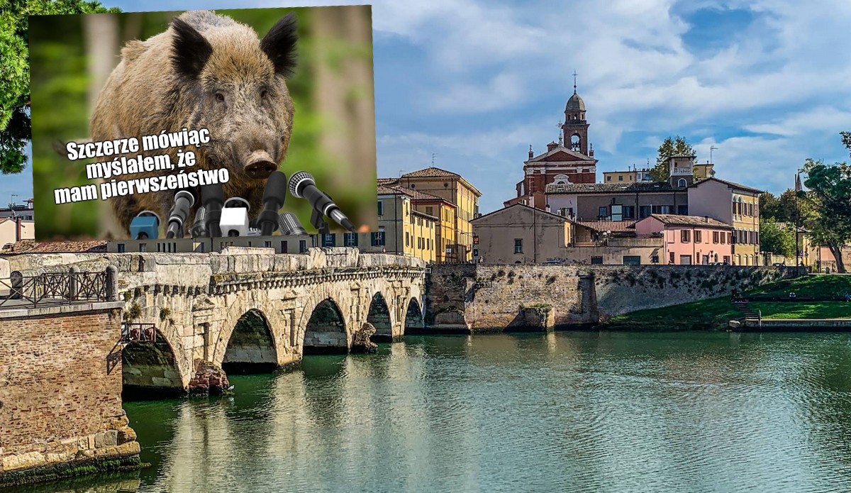 Włochy: sąd uznał, że region odpowiada za dzika, który wybiegł na drogę i spowodował wypadek