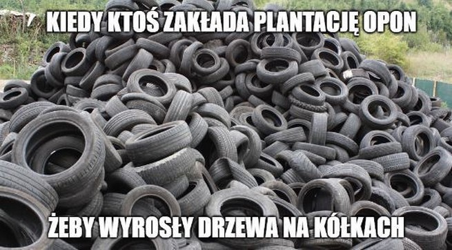 Pół miliona opon w lesie na Mazurach: policja sprawdza komu się chciało i kto na tym zarobił