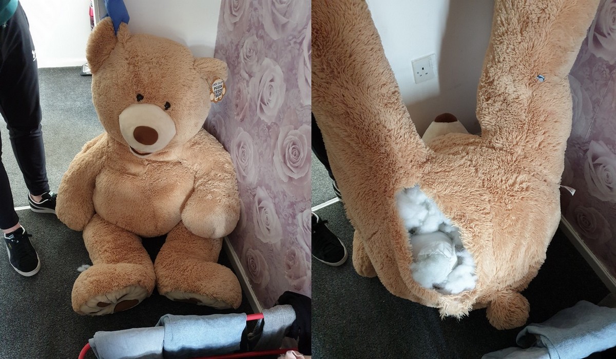 Wielka Brytania: 18-latek próbował schować się przed policją w pluszaku swojej dziewczyny