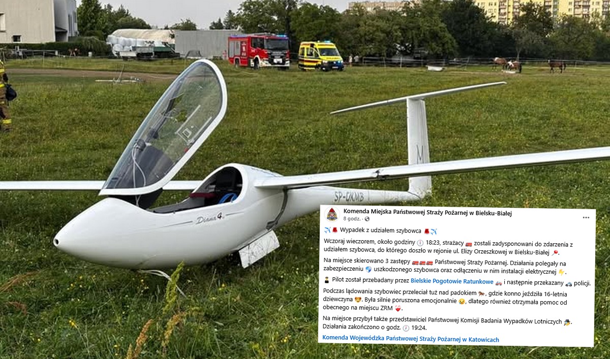 Bielsko-Biała: policja zatrzymała za kierowanie pod wpływem, ale tym razem szybowca