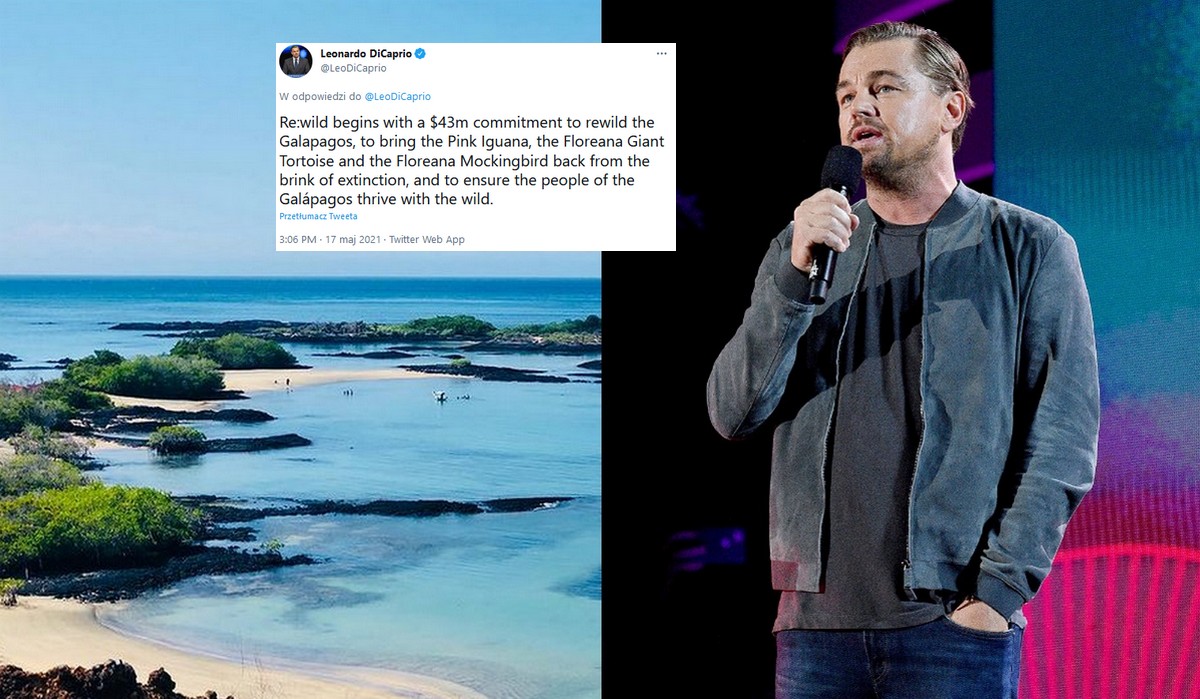 Leonardo DiCaprio przekaże 43 mln dolarów na odbudowę dzikiej przyrody na Galapagos