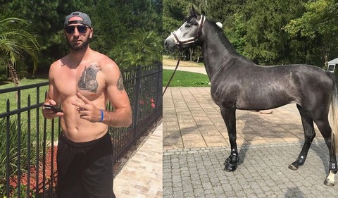 Gortat zaprzecza, że kupił konie Bachledzie-Curuś. "Kłamstwo za kłamstwem"