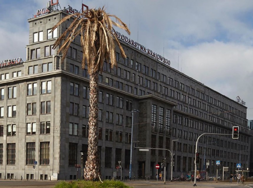 "Uschła" palma na placu de Gaulle'a w Warszawie