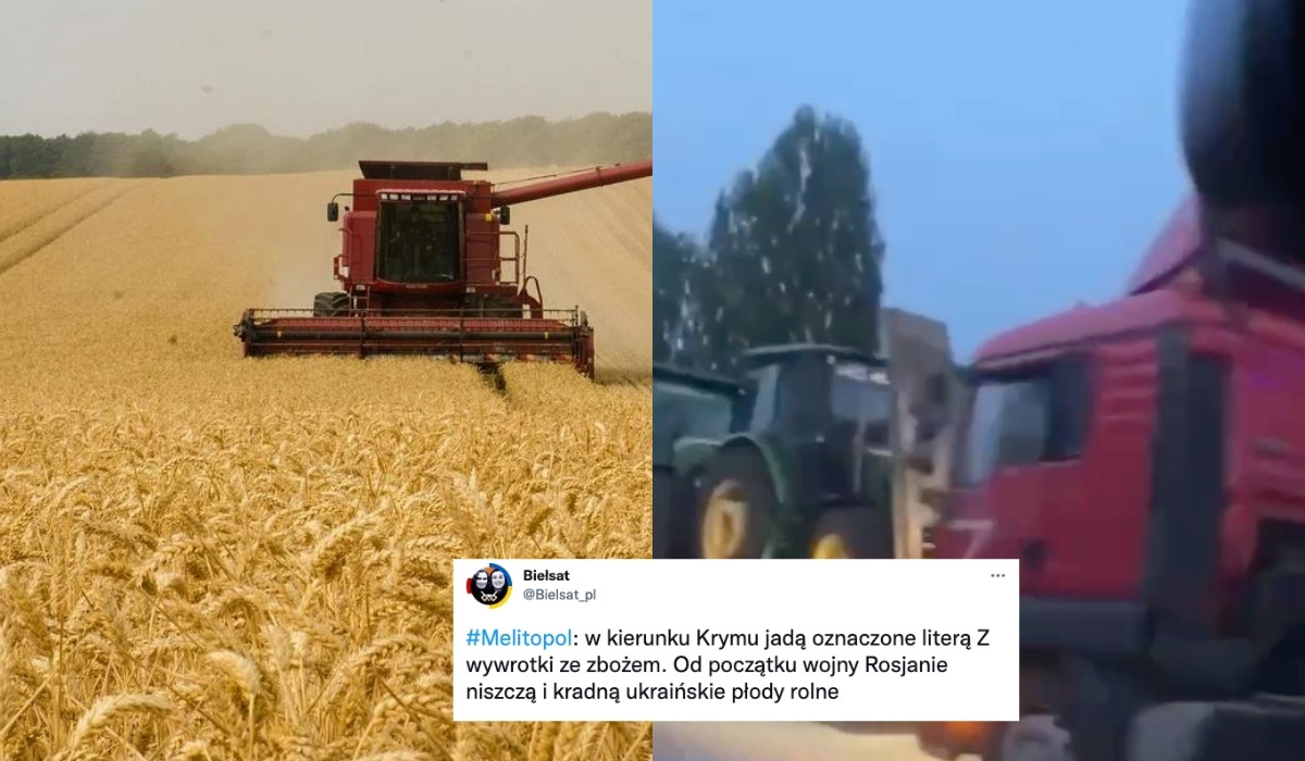 Ukraiński minister alarmuje: Rosjanie na potęgę kradną zboże na okupowanych terytoriach