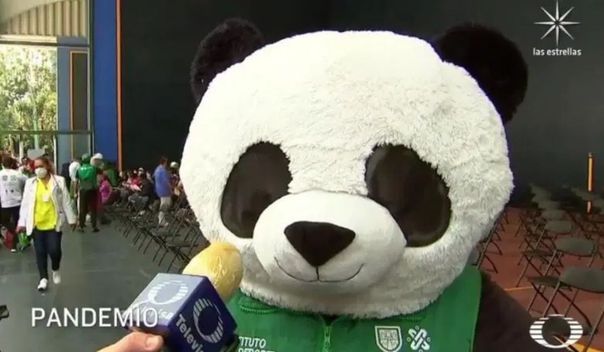 Meksyk: program szczepień ma maskotkę i został nią miś Pandemio