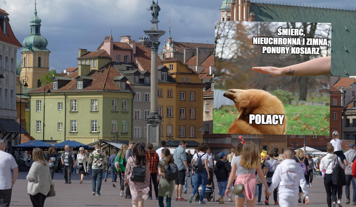 W Polsce statystycznie żyje się coraz dłużej, mężczyźni w łódzkim żyją najkrócej