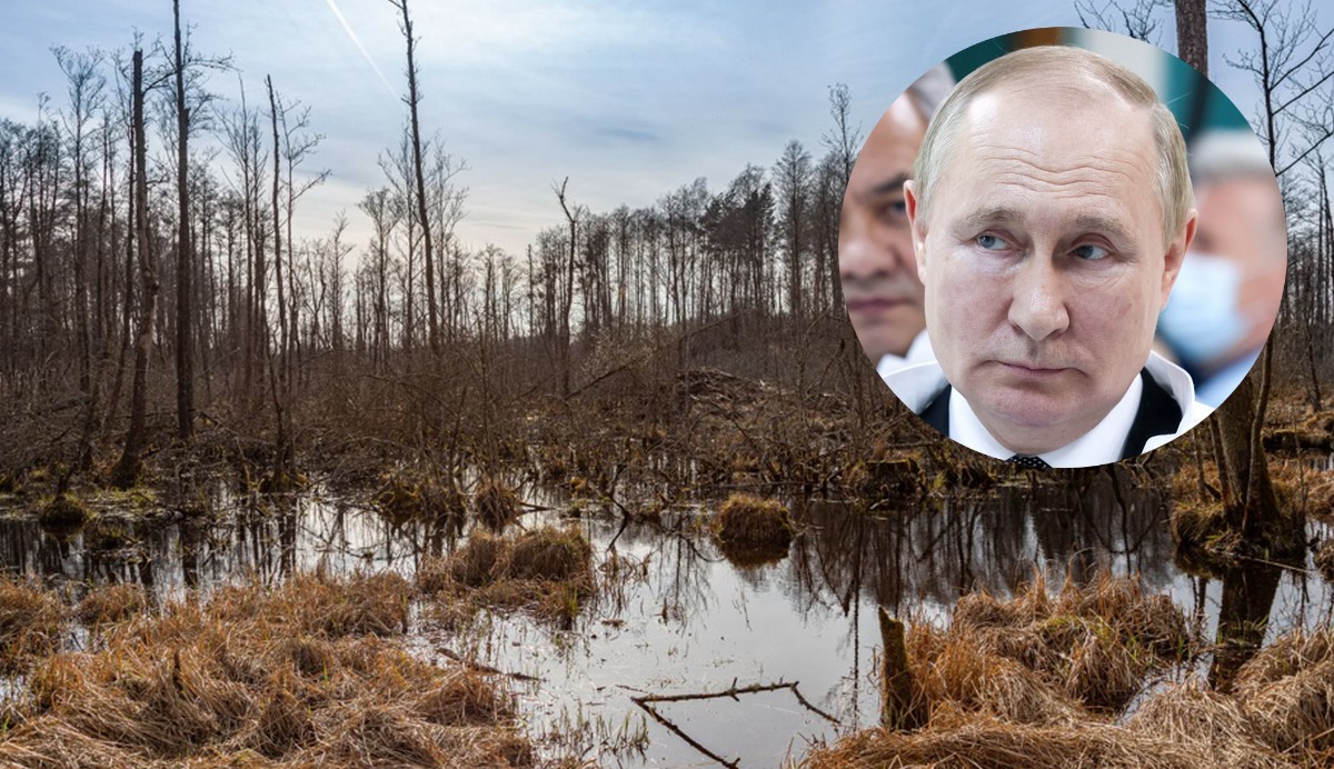 Polska ma w planach przywracanie torfowisk, na złość Rosji i na ratunek środowisku