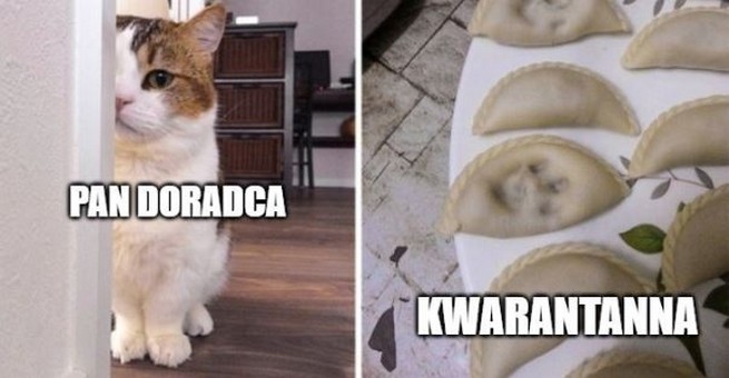 UK: doradca rządowy od epidemii przyłapany na łamaniu kwarantanny z przyjaciółką ( ͡° ͜ʖ ͡°)