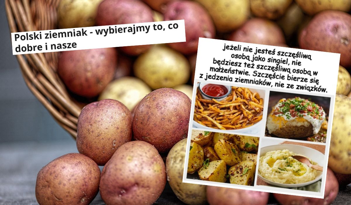 Ruszyła promocja zachęcająca Polaków do konsumpcji polskich ziemniaków