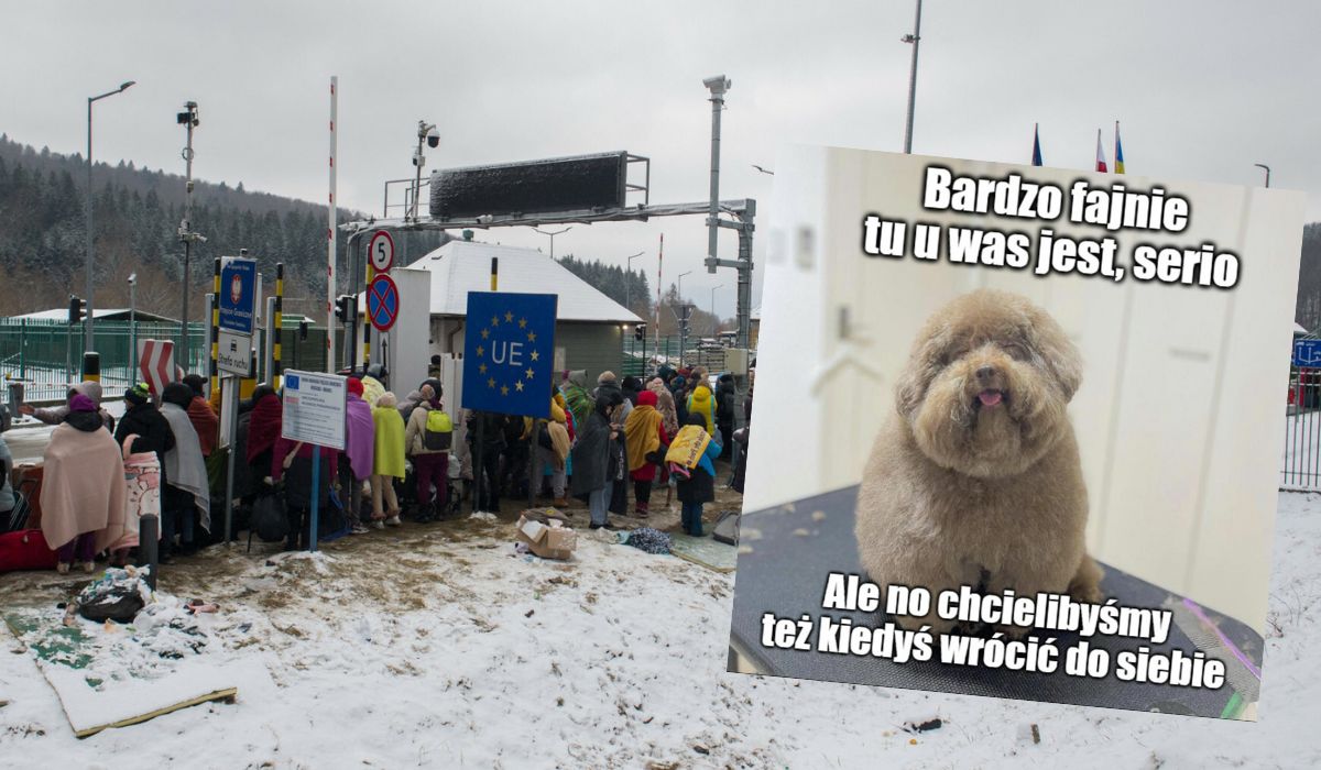 Co dziesiąta osoba z Ukrainy zamierza pozostać w Polsce na stałe