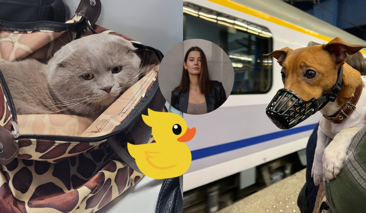 Rozmawiamy z Magdą o pomaganiu zwierzętom uchodźców, o najdziwniejszych przypadkach i czego im trzeba