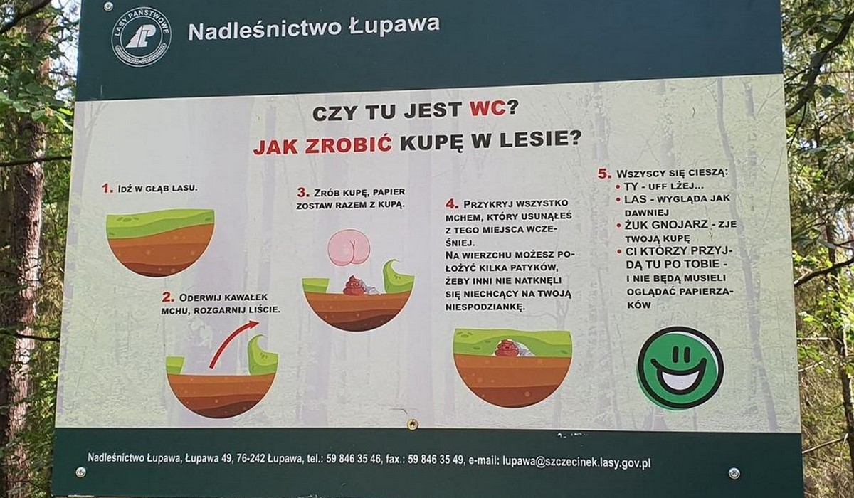 Nadleśnictwo przygotowało instrukcję jak zrobić kupę w lesie