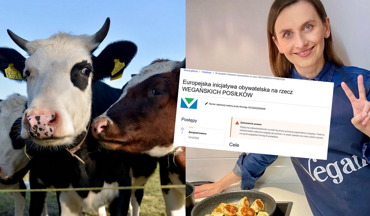 Aktywiści zbierają podpisy pod inicjatywą, aby dania wegańskie w knajpach były obowiązkowe