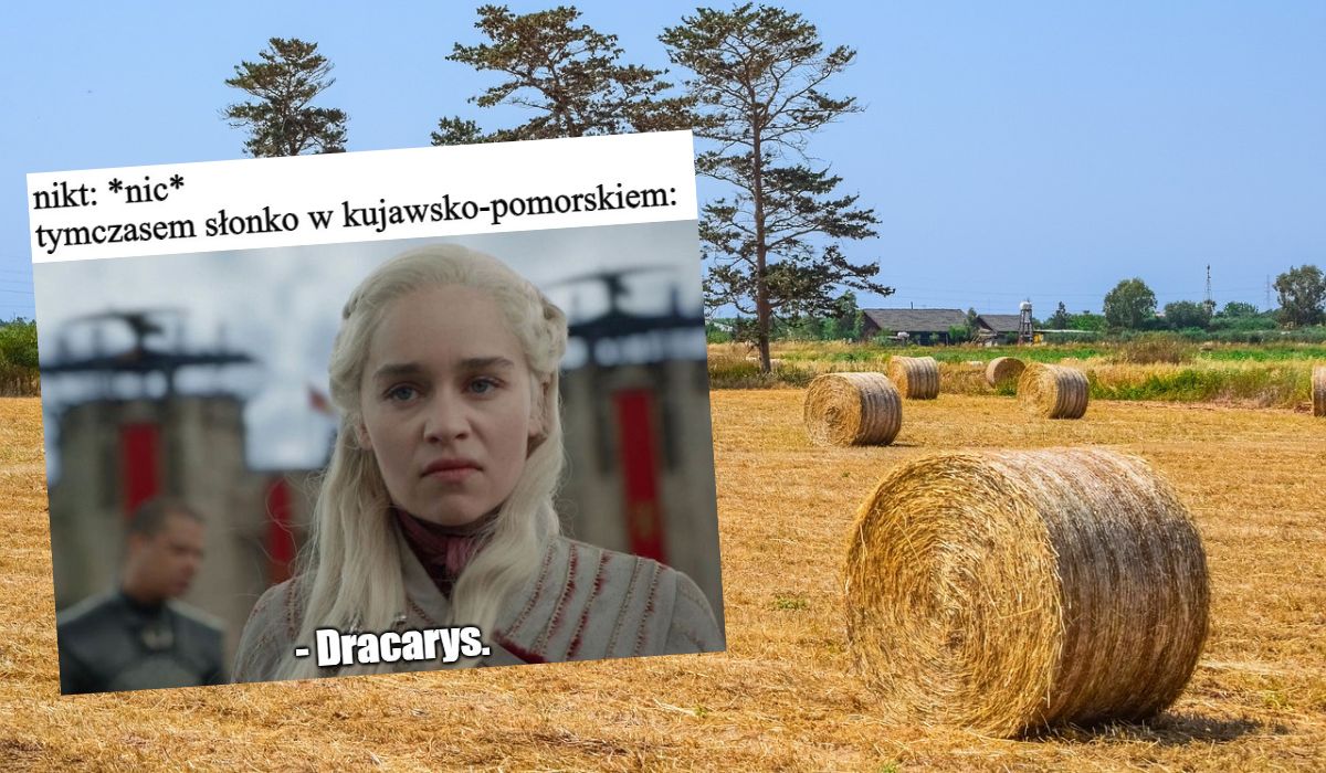 Kujawsko-Pomorskie: ceny siana jak bitkojny, skaczą o kilkaset procent w ciągu paru miesięcy