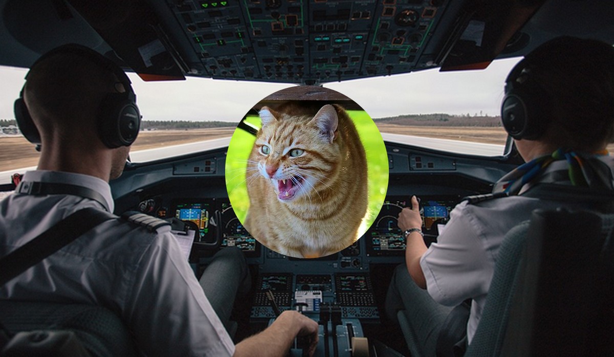 Kitku-pasażer na gapę zakradł się do kokpitu, a potem był niemiły dla pilota, aż ten zawrócił samolot