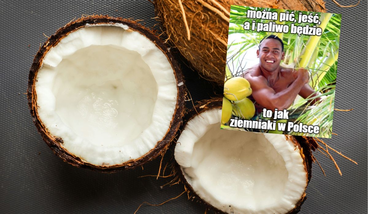 Papua Nowa Gwinea: biodiesel z kokosa staje się coraz popularniejszy jako część zielonej transformacji