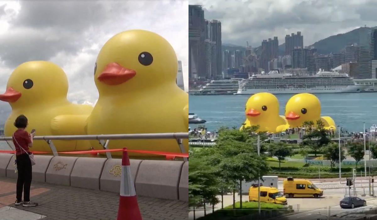 Hong Kong: wróciła ogromna gumowa kaczuszka, tym razem w towarzystwie