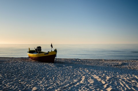 Bałtyk zmienia się w słodkie morze z największą na świecie "strefą śmierci"