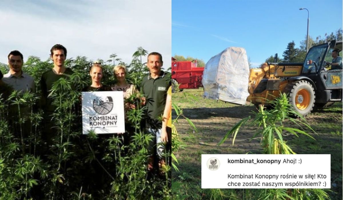 Kombinat Konopny pozyskał kasę, ma trzy razy większą sprzedaż i planuje wejście na "małą giełdę"