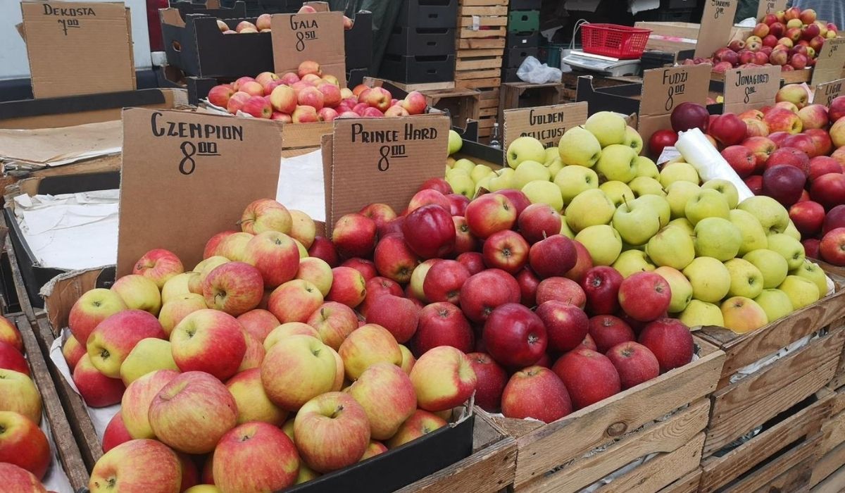 Minister rolnictwa tłumaczy wysokie ceny jabłek: to przez wolny rynek, najlepiej nie kupować