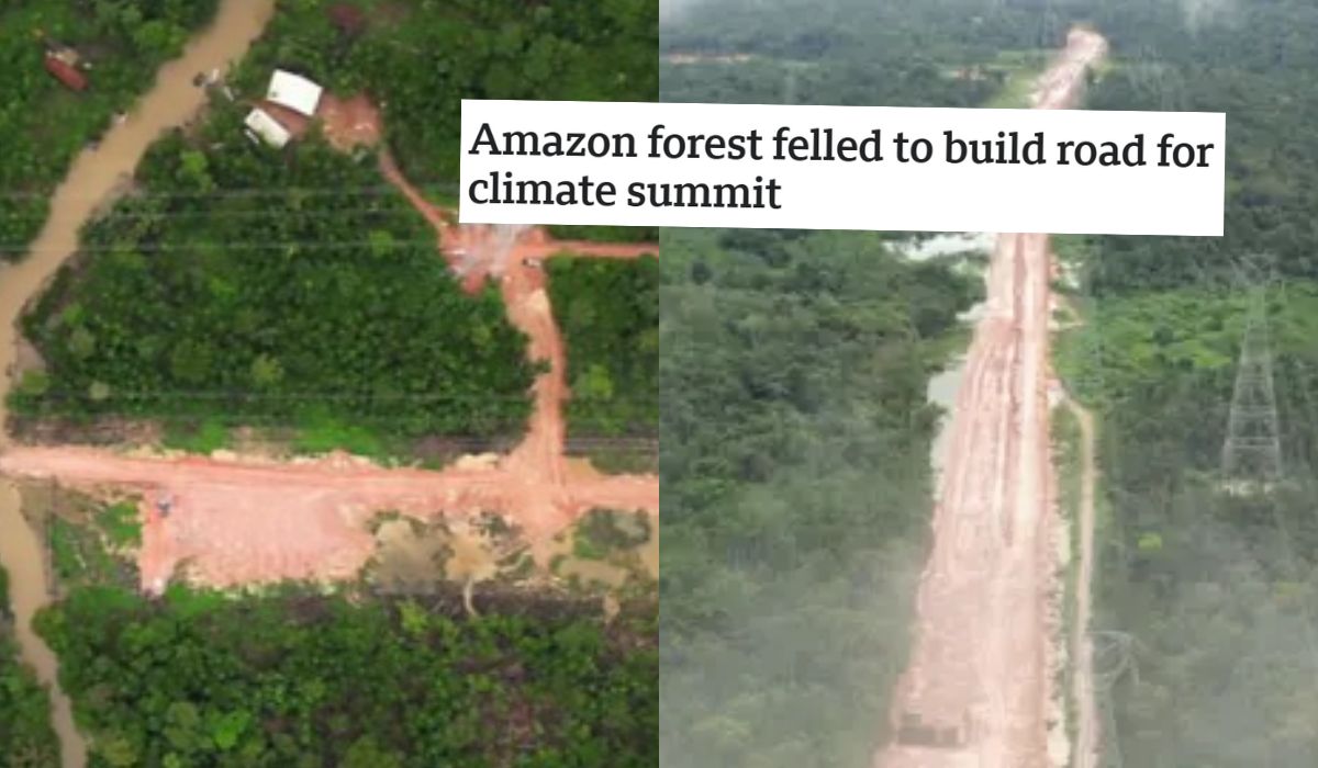 W Brazylii wykarczowano drzewa pod autostradę, która ma ułatwić dotarcie na szczyt klimatyczny o ochronie lasów