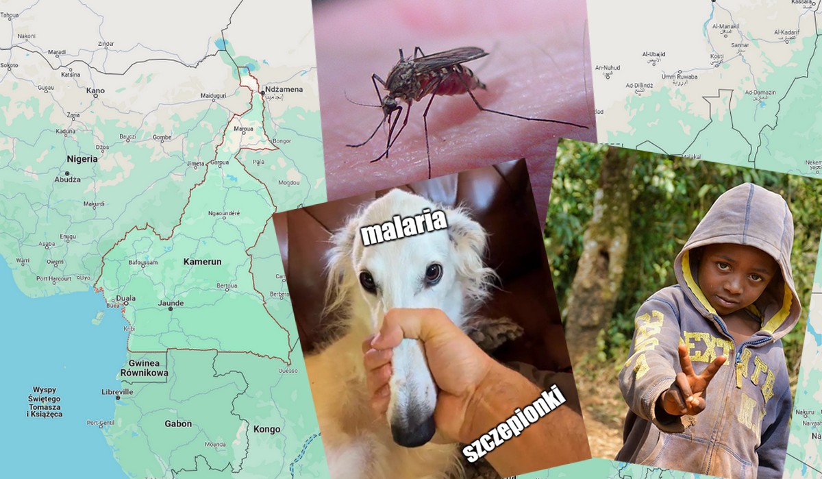 Kamerun: ruszyły pierwsze na świecie masowe szczepienia na malarię