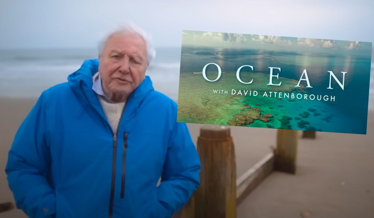 Attenborough na chwilę przed setnymi urodzinami ukończył dzieło życia, film "Ocean"