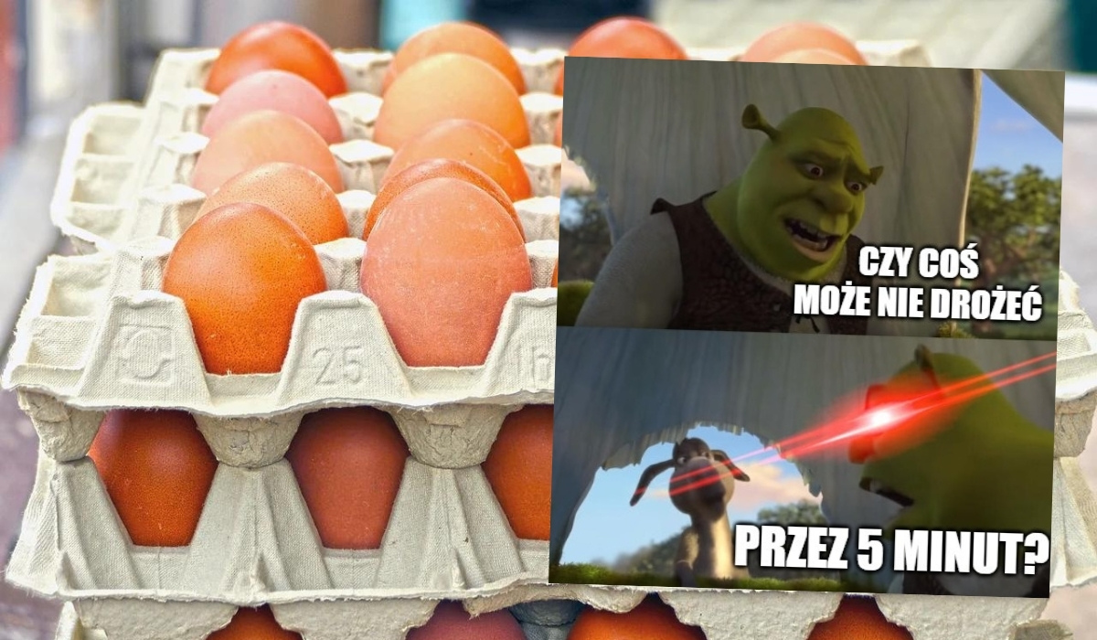 Kłopoty w branży drobiu: drastyczne podwyżki cen jaj akurat na Wielkanoc