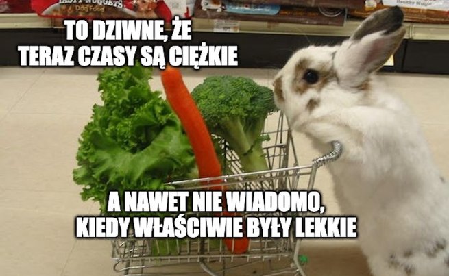 Ponad połowa Polaków uważniej kontroluje wydatki, większość z nich korzysta z promocji