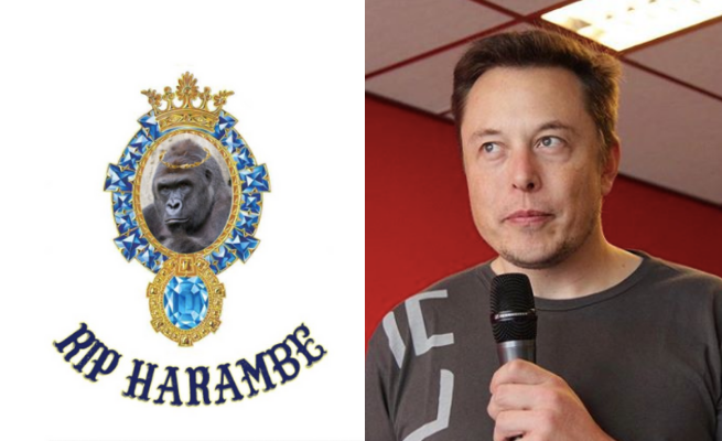 Elon Musk został raperem