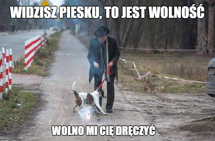 Janusz Korwin-Mikke "oswajał psa z hałasem"