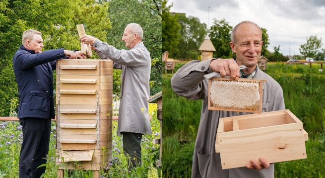 Białystok zebrał 15 kg miodu z miejskiej pasieki